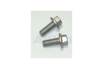 FS108207L - FLANGED SCREW